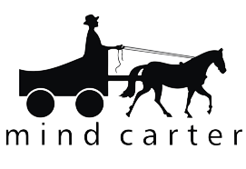 MindCarter